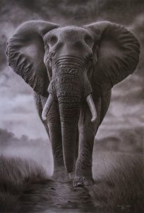 Eliphant Cropped 204x300