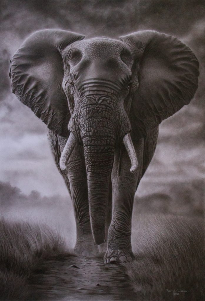 Eliphant Cropped 697x1024