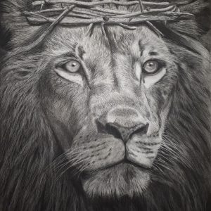 lion of judah web optimized