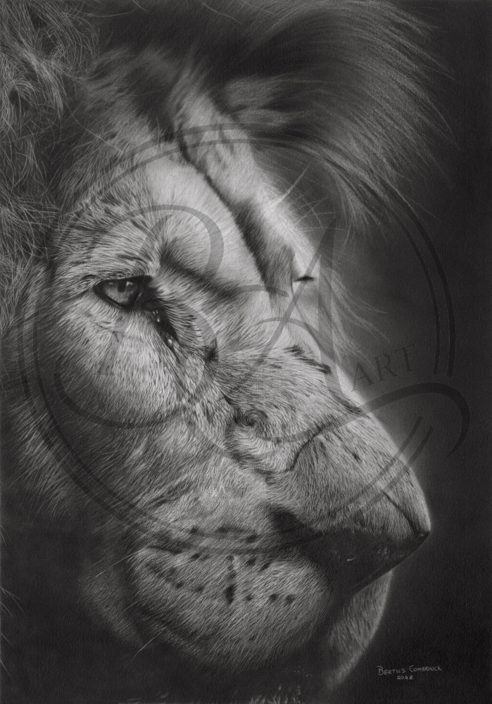 alpha male modified with watermark